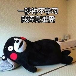 零基础备考初级会计,零基础备考会计职称