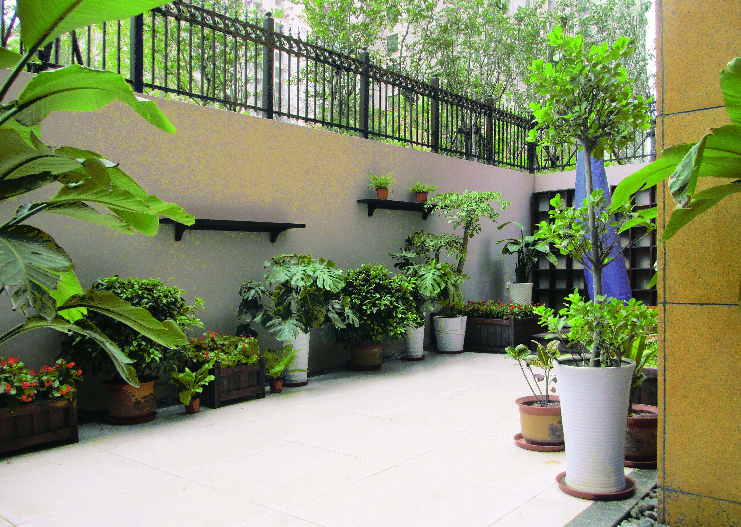 下沉式庭院的房子值得买吗,一楼带花园和地下室及下沉式庭院