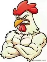 2018年3月25日817肉杂鸡价格,德州817鸡价格最新行情