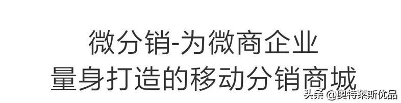 分销赚收益的平台有哪些,互联网分销模式设计