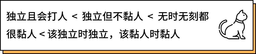 养猫的人到底有多有钱,北上广养猫的人