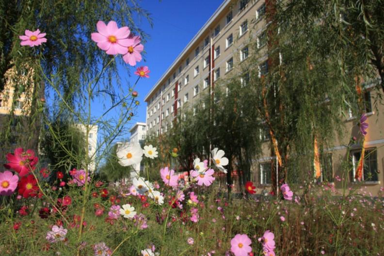 黑龙江省200-300分的公办专科学院,哈尔滨华德学院和东方学院哪个好