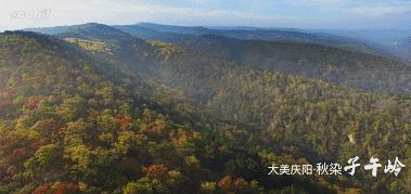 甘肃一座低调古镇,甘肃庆阳小城视频