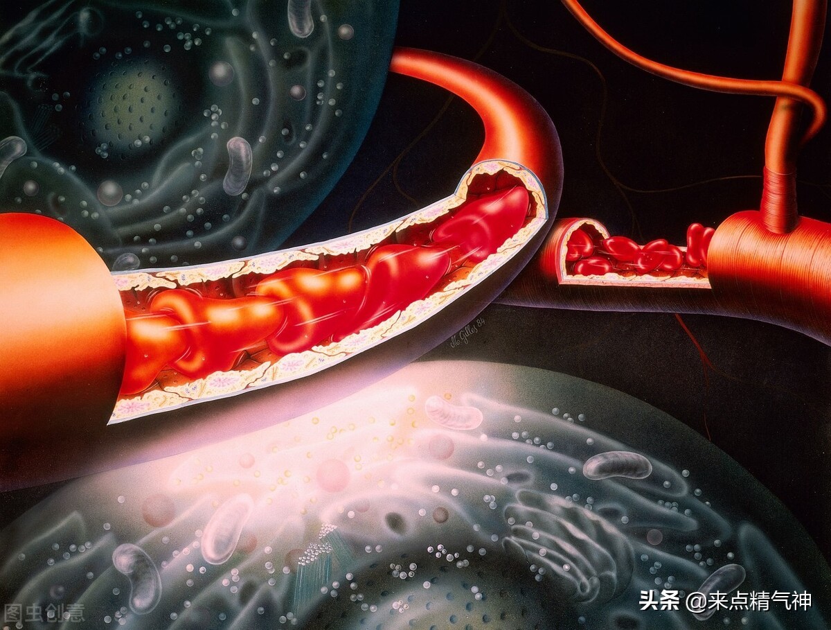 伸胳膊踢腿，动眼珠等动作，靠肝指挥！肝血不足，就无法滋养筋