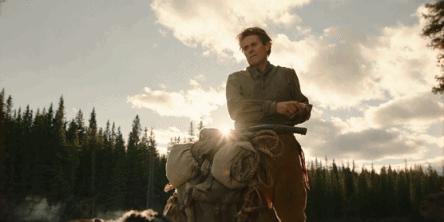 二哈多哥极限逃跑,多哥为什么跟其他哈士奇不一样