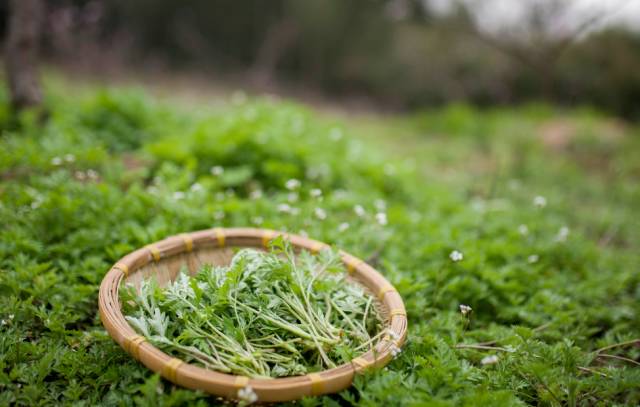 青春客栈取景,莫干山青春旅社