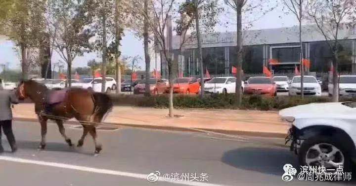 1500元雇马拉奔驰维权车主：多次与4S店交涉未果，拍视频后称48小时内答复