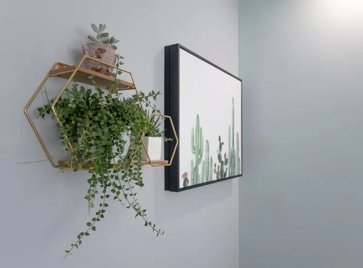 沁雅花园怎么样蚌埠,杭州西湖区沁雅花园