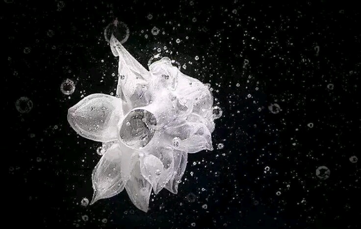 佛家讲当烦恼来临时,佛教讲无聊的时候可以做什么