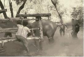 被囚34年取精，被迫亲手杀死爱子，最后只能挣扎着死去……