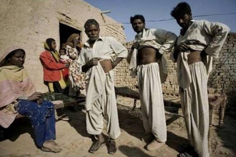 尼泊尔的穷人有多惨,尼泊尔靠肾发财的视频