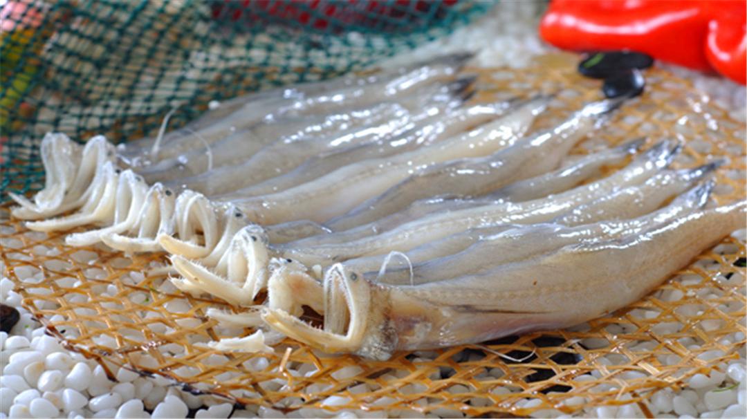 十种好吃不贵的正宗海鱼,十种好吃不贵的大海鱼