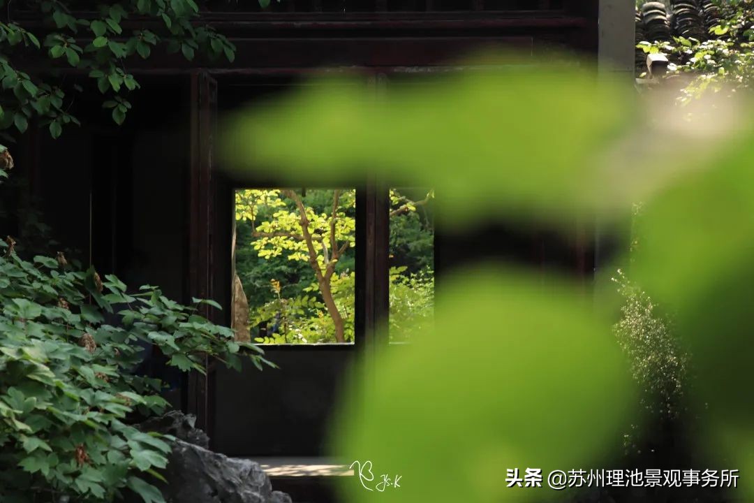 园林景观的文化特征,园林里有哪些文化