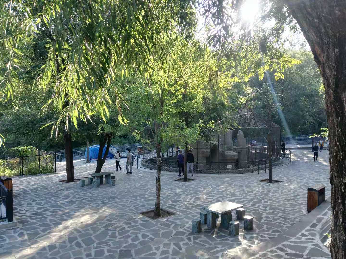 最好爬、闹市区、景色奇、有野猴—野游户外-5