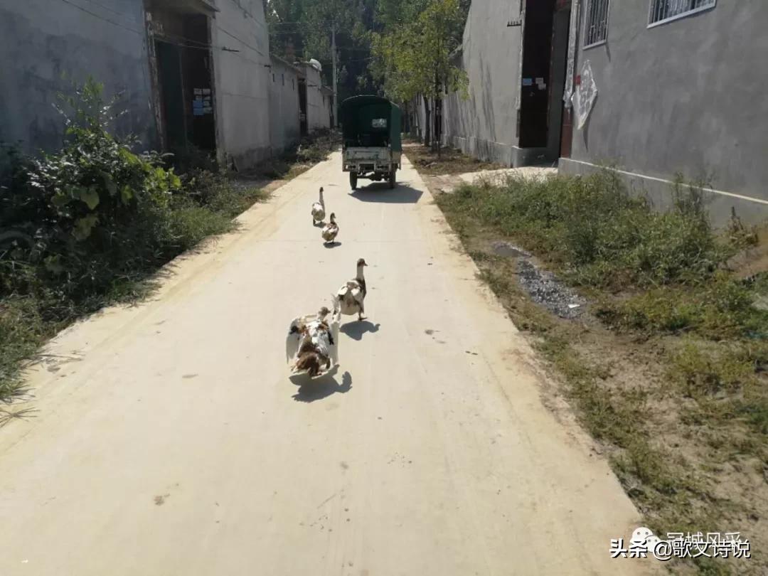 冠县贾镇高庄铺村,冠县乡韵北馆陶宗屯村