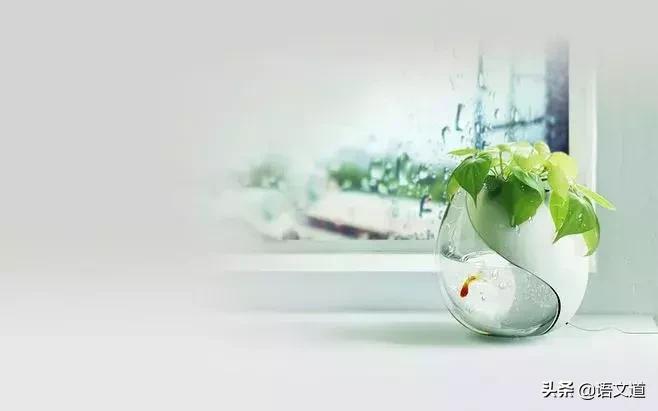 我于昨晚去世走时心如寒冰,我于昨晚去世走时心如止水原文