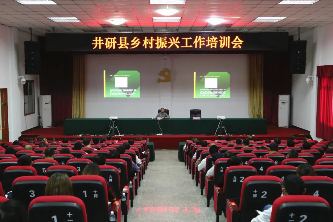 井研乡村振兴视频,井研县乡村振兴示范镇