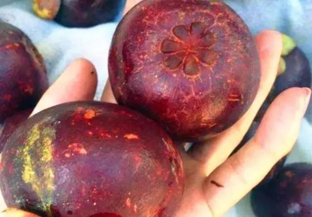 挑选山竹的3种小诀窍介绍,山竹的挑选技巧