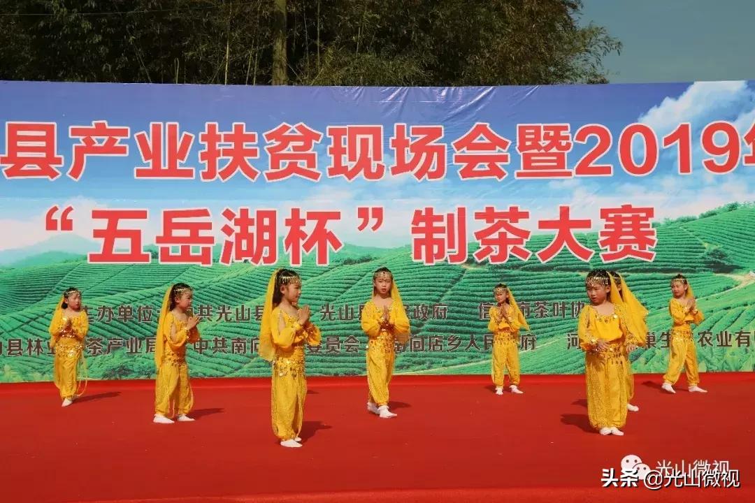 光山斗茶大赛完整版,信阳斗茶大赛获奖