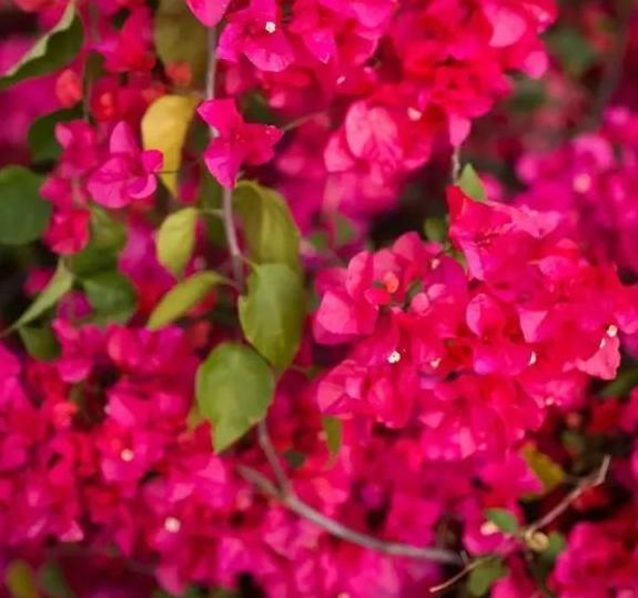 深圳大学2020年录取分数线及排名,深圳大学最近三年录取分数线