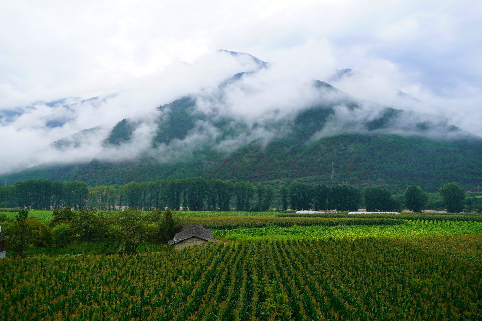 “乡”约丽江塔城,这里有你向往的田园生活