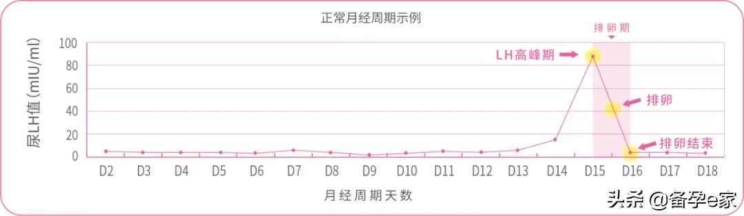 备孕用排卵试纸好还是顺其自然好,备孕排卵试纸大全图片