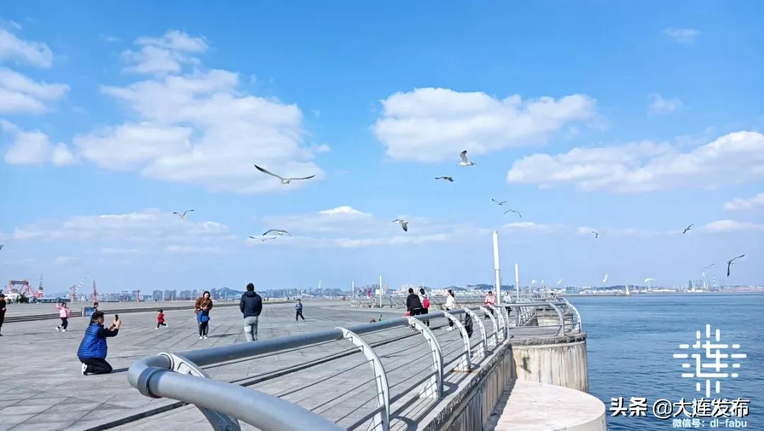 刷屏具体是什么,辽宁大连刷屏照片