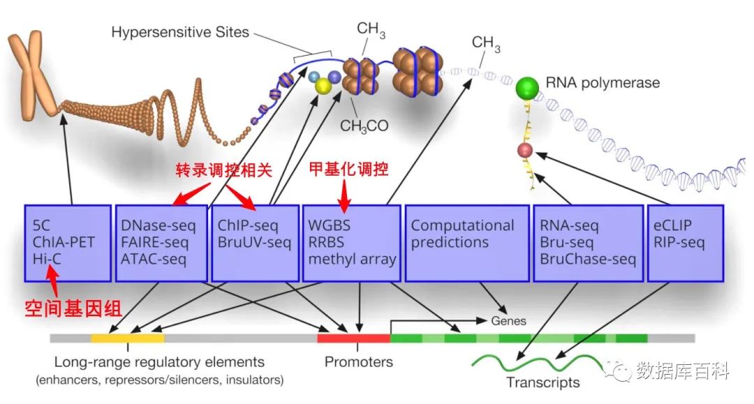 高通量测序技术怎么使用,高通量测序数据分析费用