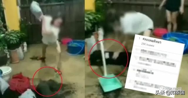 “变性人打狗”泰国热搜？比灾难更可怕的是灾难中现形的人心险恶