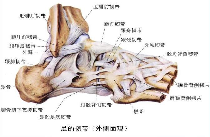 摔跤后骨折保守治疗,摔跤后脚跟痛怎么解决