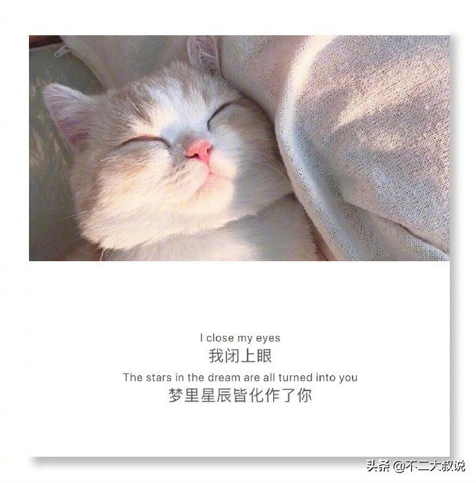 英汉互译的深情句子,中英文唯美爱情句子