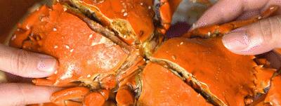 开渔啦一大波海鲜,开渔喽