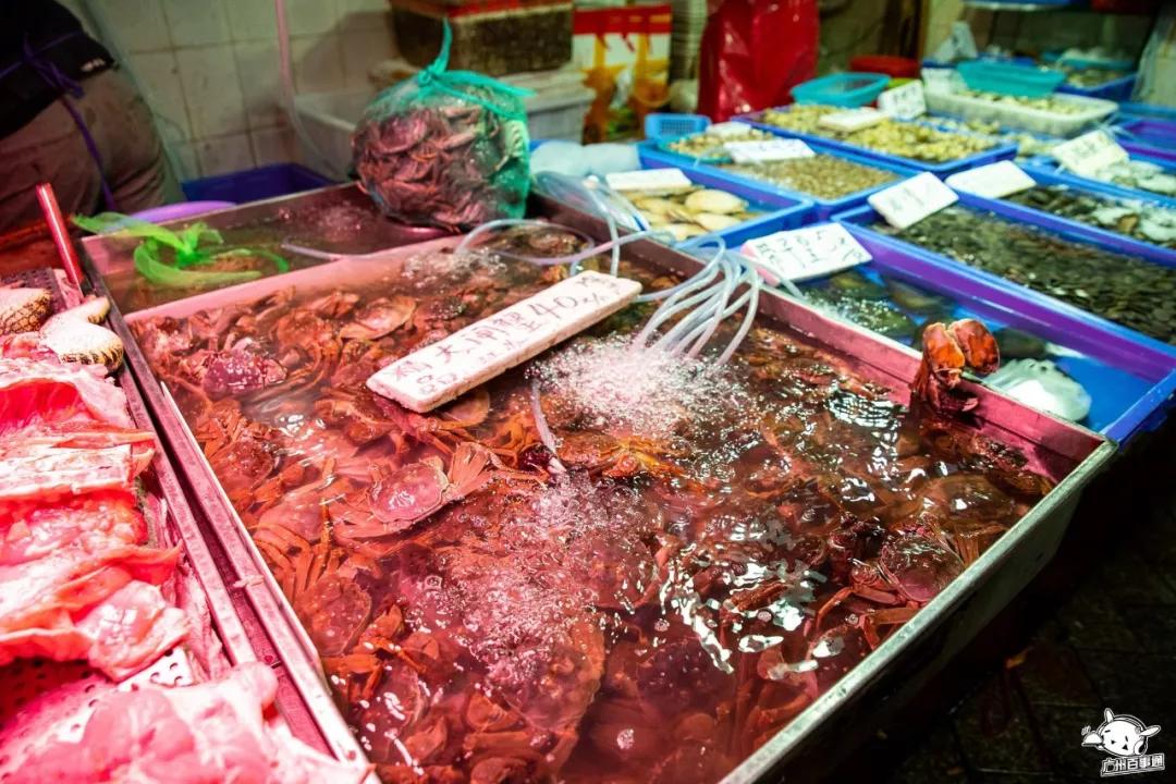 广州沙园菜市场价格,广州沙园菜市场水果