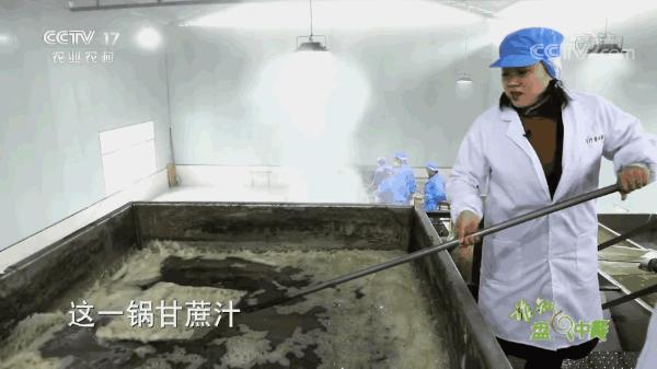 红糖补血吗可以经常喝吗,红糖真的可以补血吗