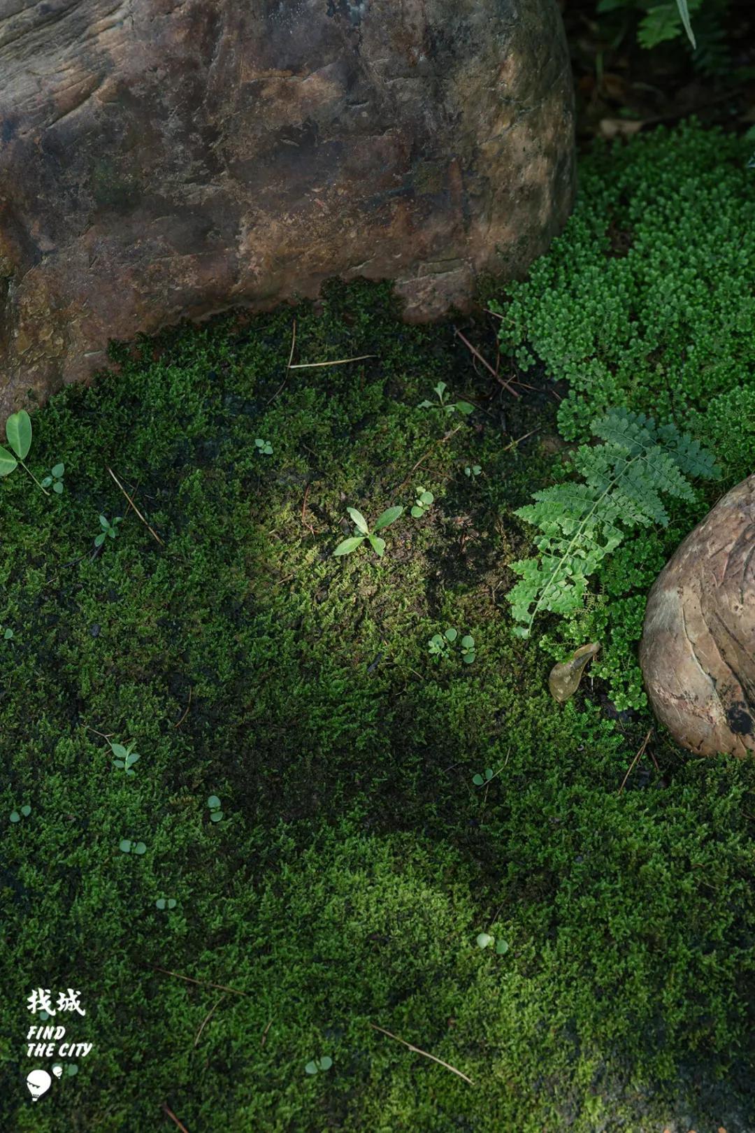 南宁人去隆安玩,南宁人去柳州玩