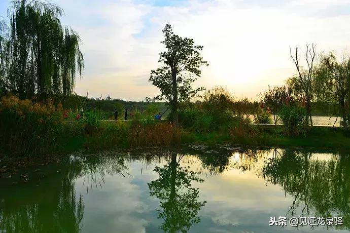 打卡青龙湖湿地公园,青龙湖湿地公园拍照技巧