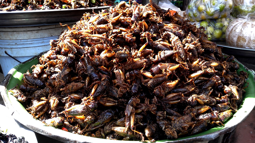 中国去暹粒,北京怎么去暹粒