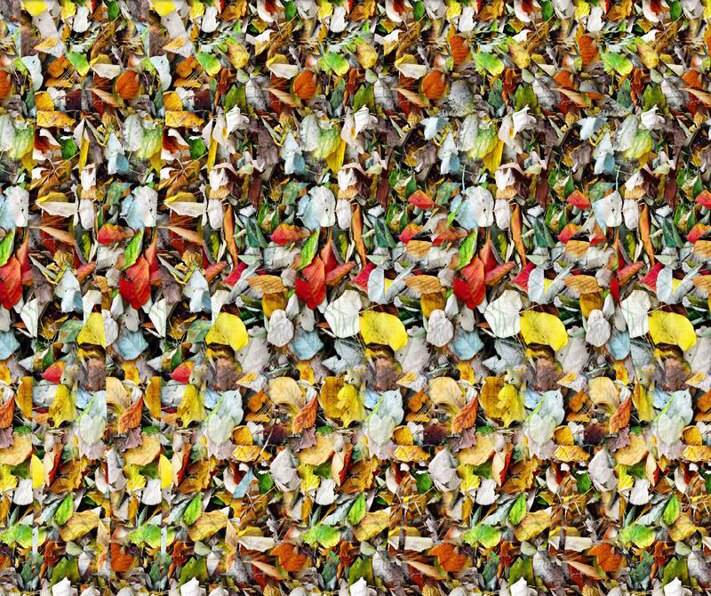 3d立体电影大全免费观看,看3d立体地图用什么软件