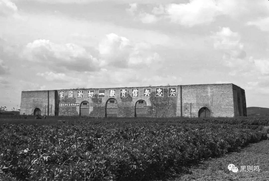 1934年的南京城,1944年南京视频