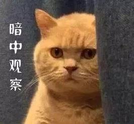 讲起抗疫故事,听战疫故事