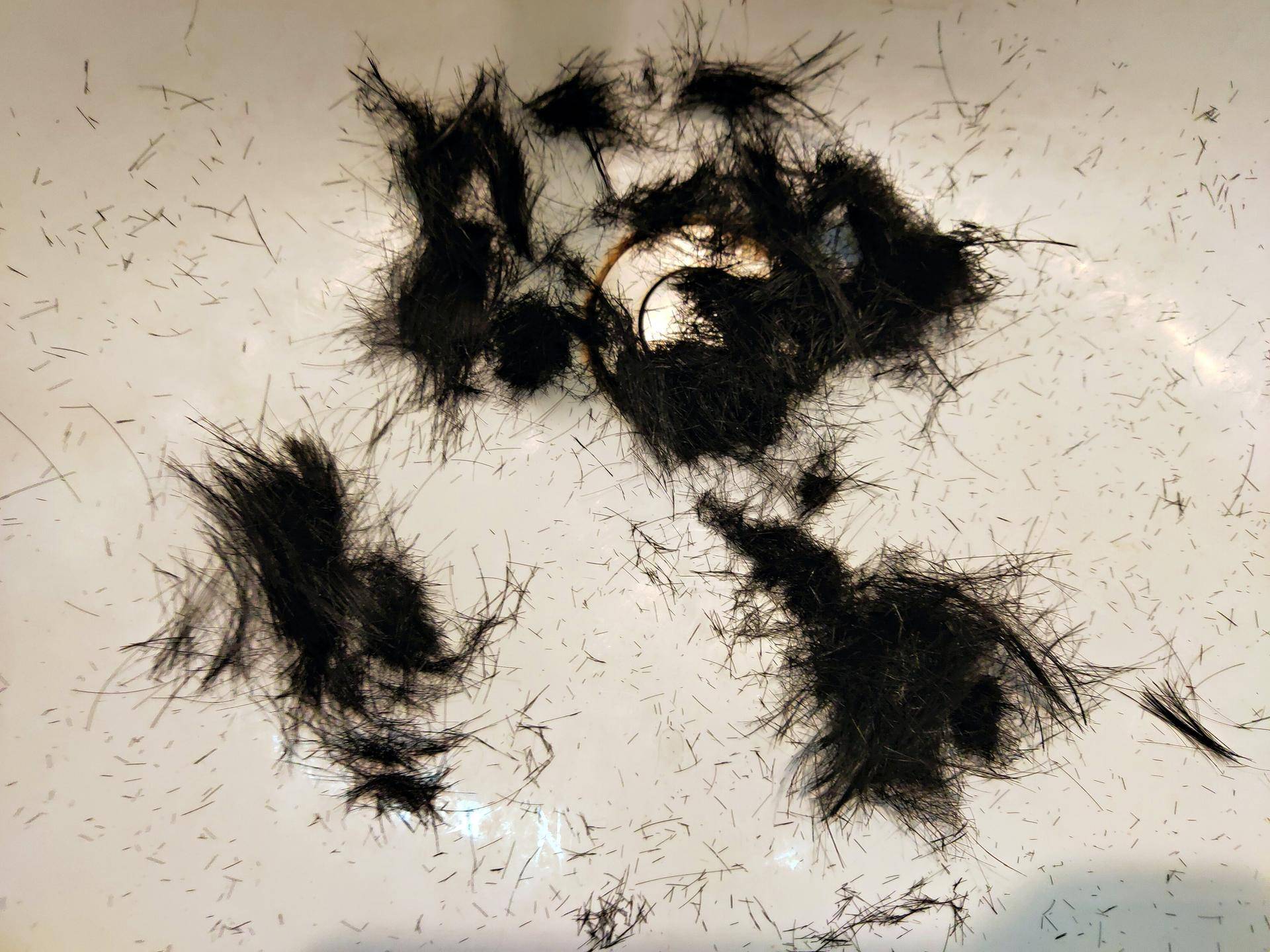 理发店不开门制作视频,理发店不开门教程