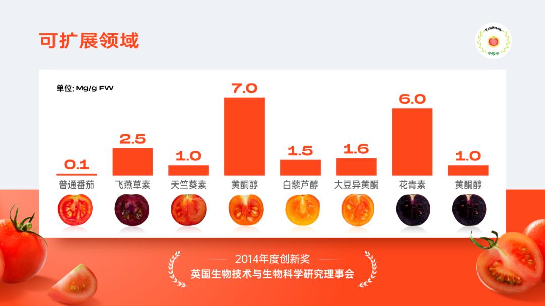 当西红柿遇上烦人的橙子,当番茄遇上西红柿视频