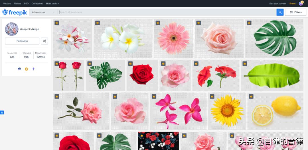 只要加些植物元素，你的PPT页面精致又有格调