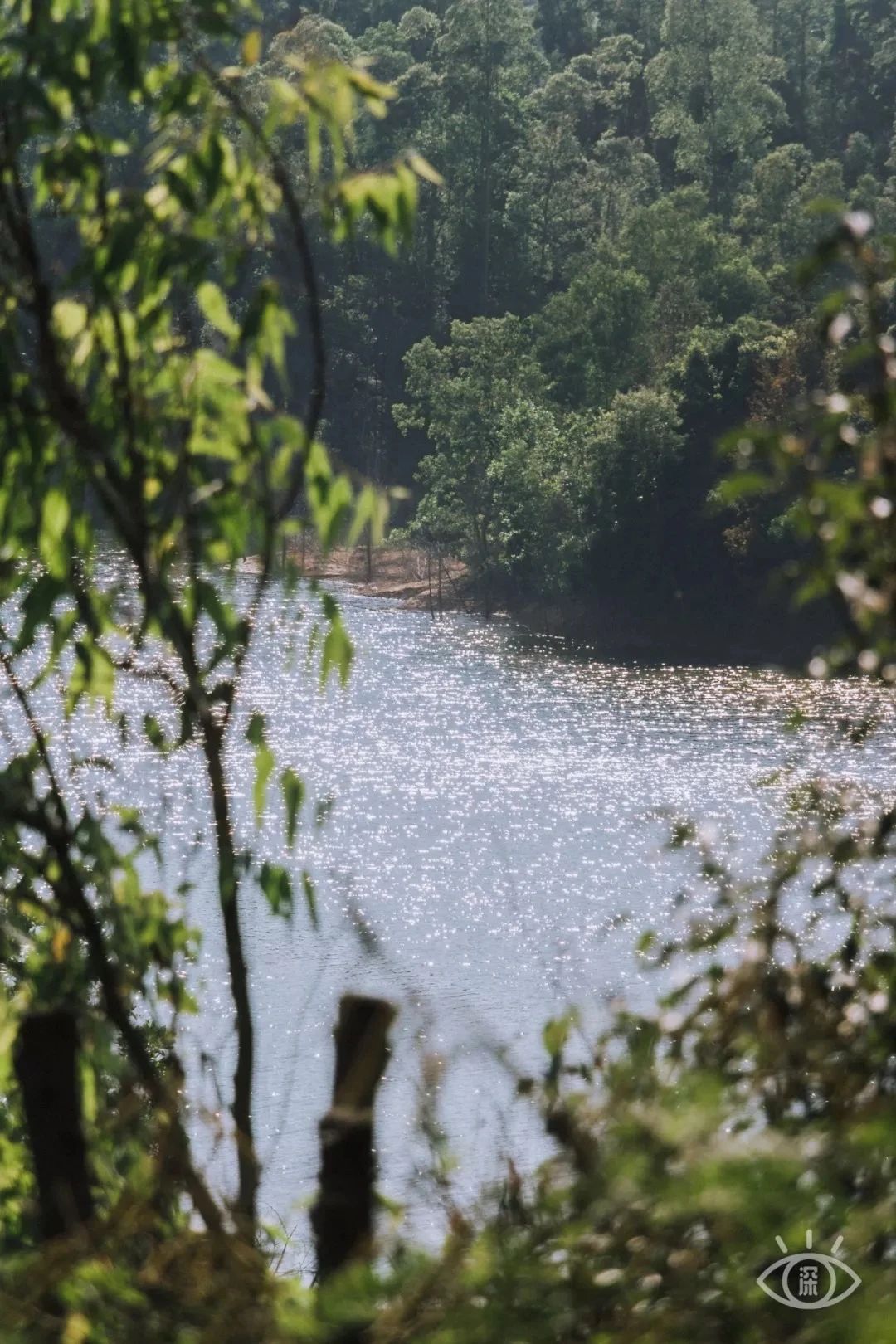 深圳周末浪漫好去处,深圳浪漫约会地点十个景点