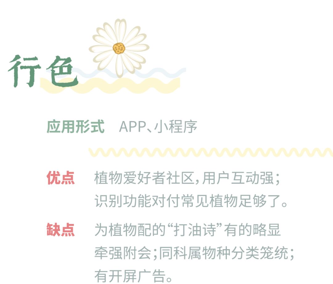 哪个识花软件最好用,识花app免费的哪个好