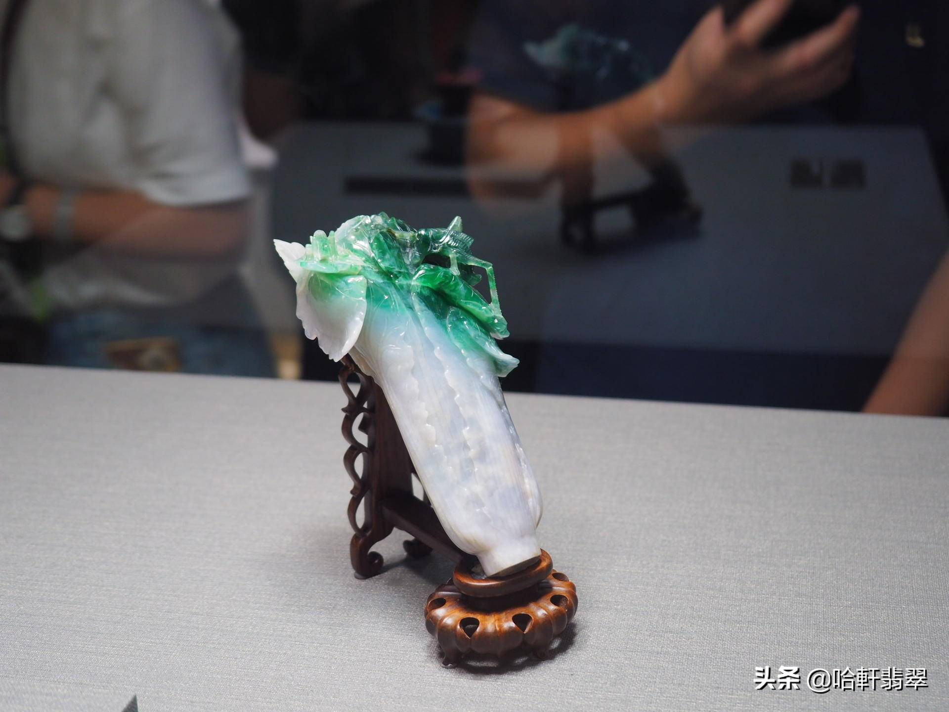 乾隆和白菜,乾隆白菜和太后白菜区别