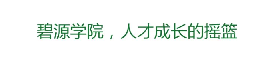 河南碧源控股集团有限公司,碧源控股是干什么的