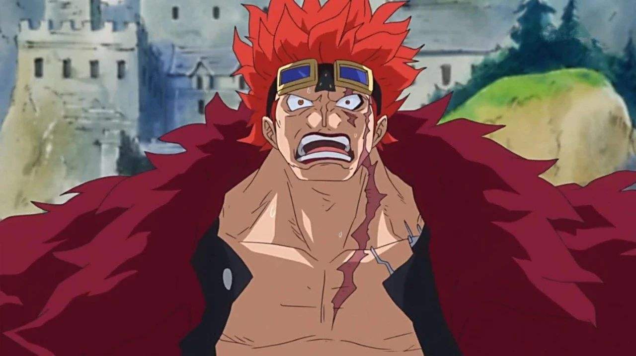 海贼王为什么有些人觉得不好看,海贼王基德有多残忍