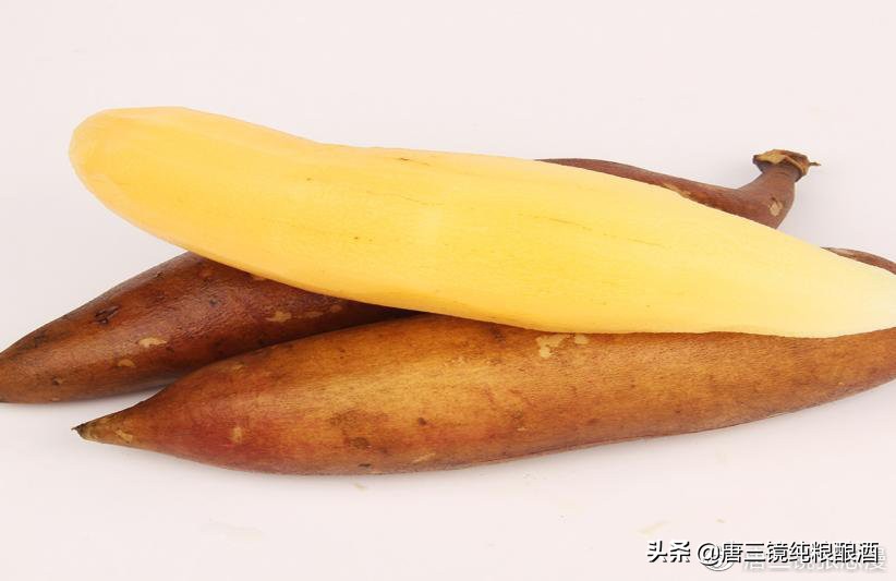 唐三镜张思漫：做雪莲果酒需要哪些果酒做酒设备，雪莲果酿酒技术