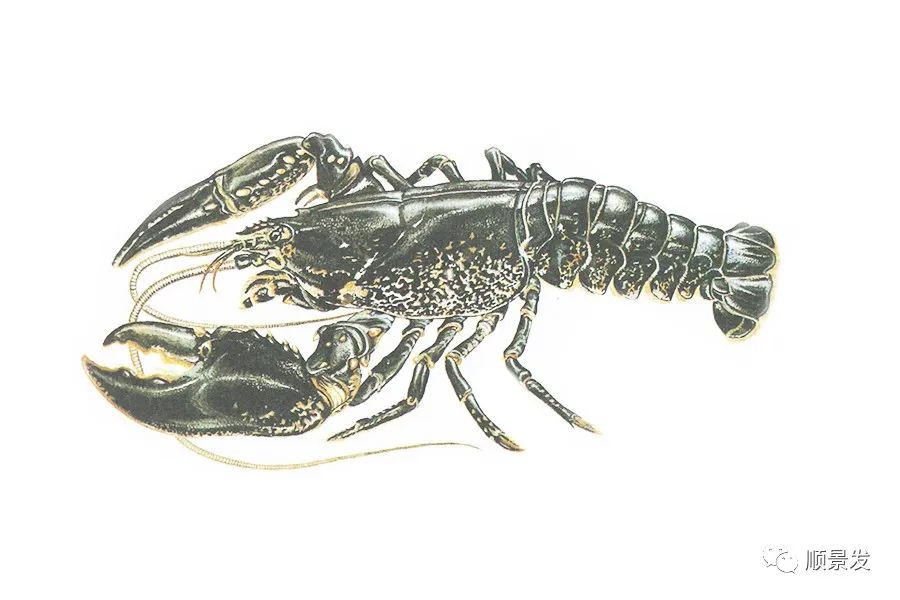 挪威和中国签订协议,挪威希望与中国加强合作